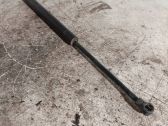 Front bonnet/hood damper/strut