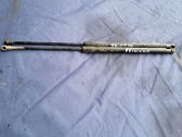 Tailgate/trunk strut/damper