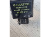 Coolant level sensor
