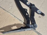 Tailgate/trunk/boot hinge