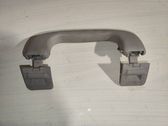 Front interior roof grab handle