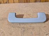 Front interior roof grab handle