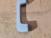 Front interior roof grab handle