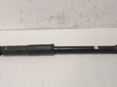 Rear shock absorber/damper