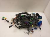 Other wiring loom