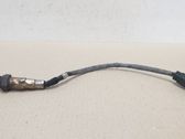 Sonde lambda
