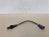 Sonde lambda
