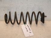 Rear coil spring
