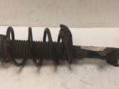 Front shock absorber with coil spring