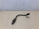 Lambdasonde Regelsonde