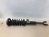 Amortiguador delantero con muelle espiral