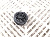 Front door high frequency speaker