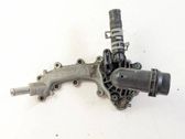 Thermostat/thermostat housing