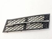 Front bumper lower grill