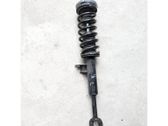 Front shock absorber/damper