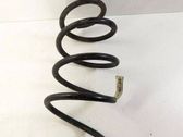 Front coil spring