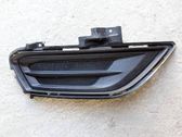 Front fog light trim/grill
