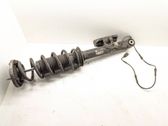 Rear shock absorber/damper