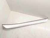 Rear sill trim cover