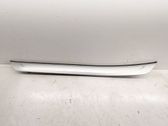 Rear sill trim cover