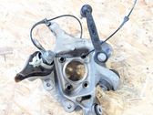 Rear wheel hub
