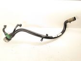 Fuel tank filler neck pipe