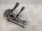 Rear wheel hub