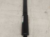Rear shock absorber/damper