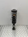 Rear shock absorber/damper