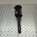 Front shock absorber/damper