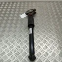 Rear shock absorber/damper