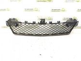 Front bumper lower grill