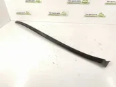 Windshield trim