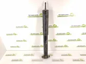 Front shock absorber/damper