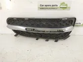 Front bumper lower grill