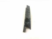 Listón embellecedor de la puerta delantera (moldura)