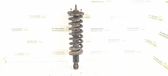 Front shock absorber/damper