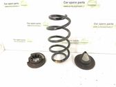 Rear coil spring