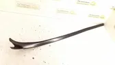 Windshield trim