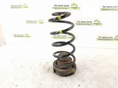 Rear coil spring