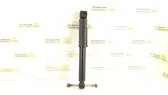 Rear shock absorber/damper