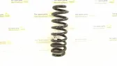 Rear coil spring