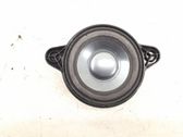 Rear door speaker