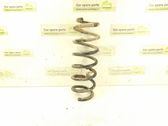 Rear coil spring