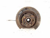 Rear wheel hub