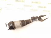 Air suspension front shock absorber