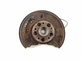 Rear wheel hub