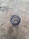 Front coil spring