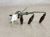 Injektor Einspritzdüse