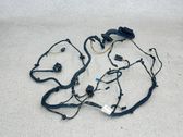 Other wiring loom